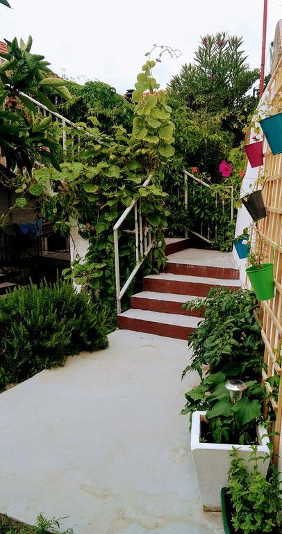 Sofia'S Way Apartments Jelsa  Extérieur photo
